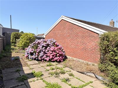 Picture 19